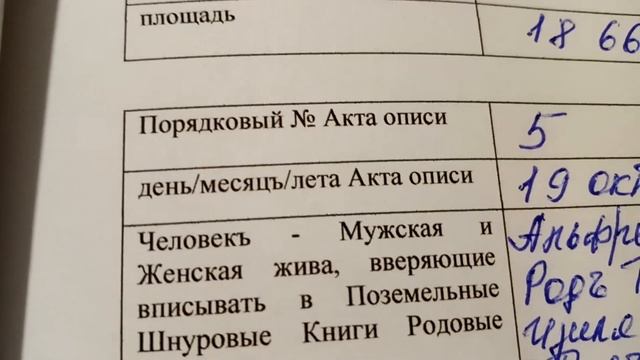Акты описи краёв Белизъ,Барбадосъ,Сент Винсентъ и Гринадины,Антигуа и Барбуда округа Индеанъ Земли смотреть онлайн