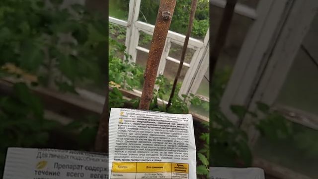 Внекорневая подкормка томатов / Подкормка томатов Борной кислотой при цветении смотреть онлайн