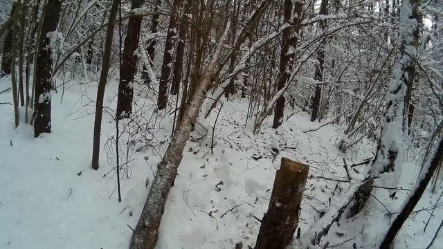 Зимний Лес или как провести Новогодние Праздники смотреть онлайн