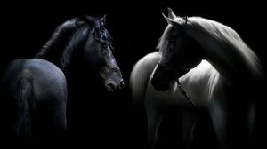 Bakr  - Статус Души SLOWED // DJ MAX