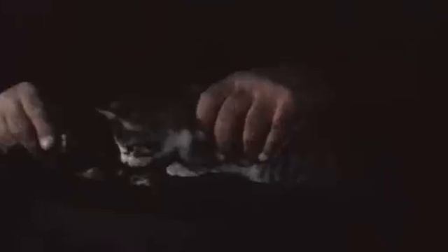 Юнга северного флота смотреть онлайн