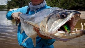 САМЫЕ ОПАСНЫЕ РЫБЫ В МИРЕ. Рыбы убийцы. МОРСКИЕ МОНСТРЫ. Самые страшные рыбы