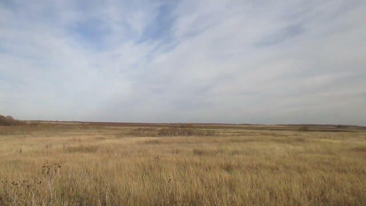 Опустевший посёлок Выделенческий, Самойловский район.