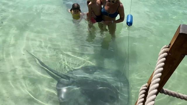 3 MIN REVIEW! Xel-Ha Park with kids - Playa Del Carmen - Tulum, Mexico смотреть онлайн