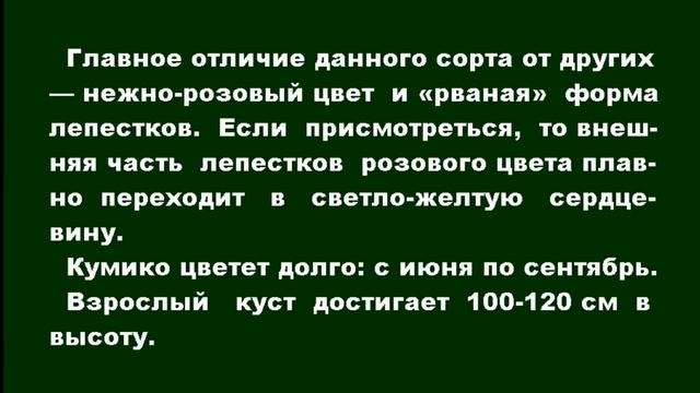 ❀ Самые красивые сорта гортензии дуболистной и крупнолистной для средней полосы смотреть онлайн