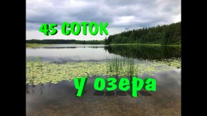 45 соток у озера! Проект "Переезд в деревню"