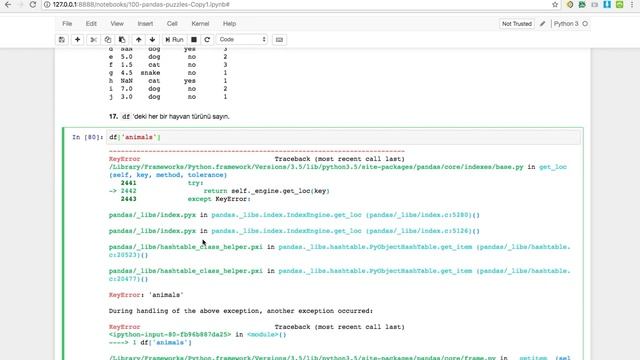 60 Soruda Pandas ile Veri Düzenleme - 3 - Temel Fonksiyonlar смотреть онлайн