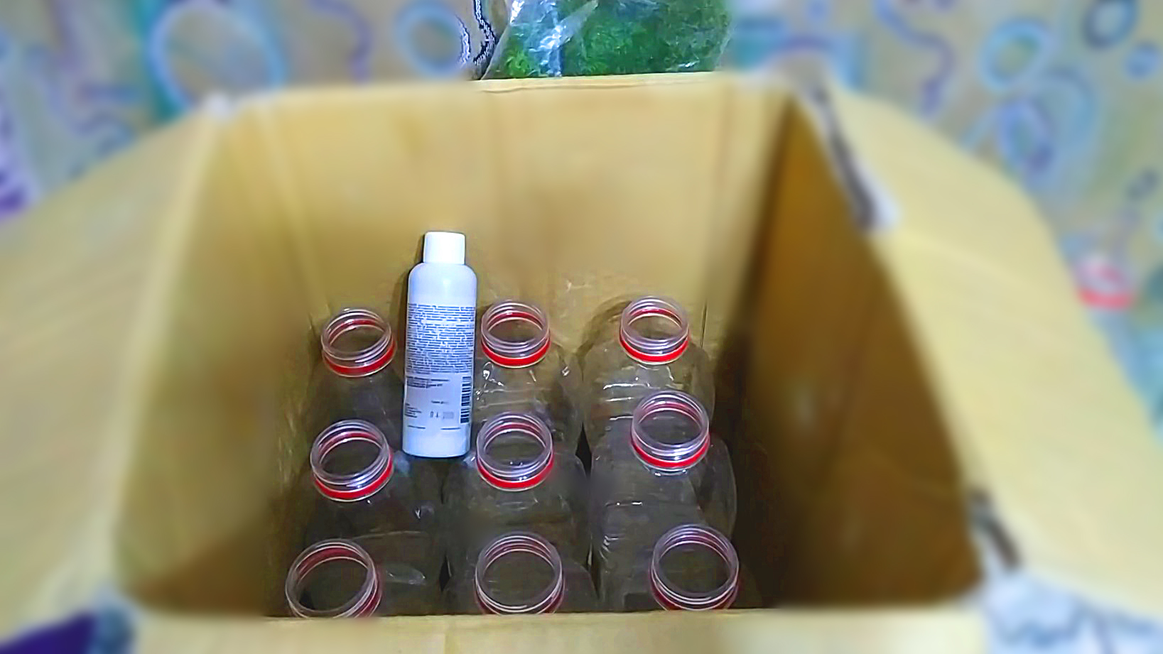 Приз победителю! смотреть онлайн