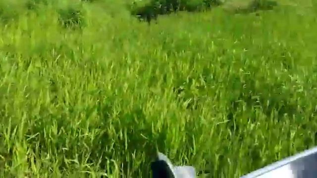 Испытания JetBuggy в Красноярском крае смотреть онлайн