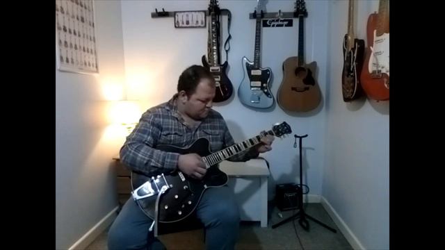 MR TAMBORINE MAN - THE BYRDS - GUITAR COVER смотреть онлайн
