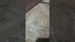 Не открывается дверь с наружной стороны  Киа Соренто  2