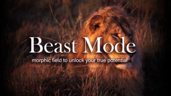 Beast Mode(Morphic Field to Unlock Your True Potential)