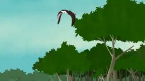 Спасение выдры.Братья Кратт: Зов Природы. Новая серия. Канал Детишки