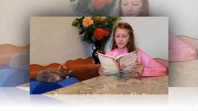 Видеообзор на книгу Джоэль Чандлер Харрис "Сказки дядюшки Римуса" смотреть онлайн