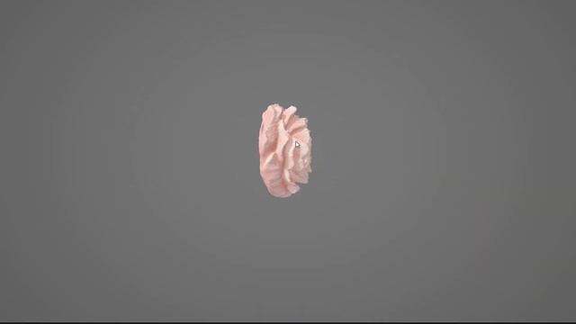 Floral Magic: Seal 3d scanner crafts flower into ring смотреть онлайн