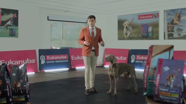 Секреты Творческой Гениальности