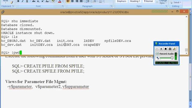 Spfile or Pfile смотреть онлайн