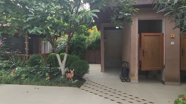 Hotel "Comfort"**** г. Сухум_Доступная среда в г. Сухум (Абхазия)_1 часть. смотреть онлайн