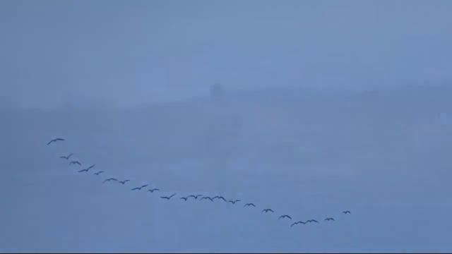 Охота Жуковка 2017 смотреть онлайн