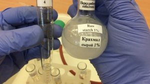 Переваривание крахмала ферментами слюны человека