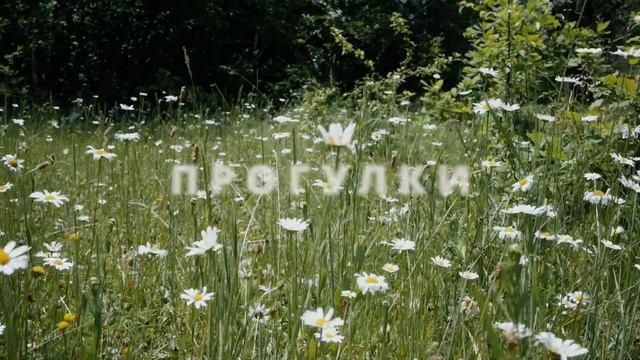 Усадьба в горах. смотреть онлайн