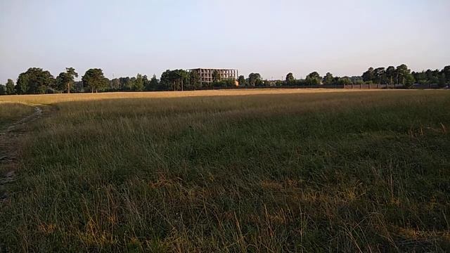 Видное. Возможное место прокладки дублёра МКАД, ч.10 смотреть онлайн