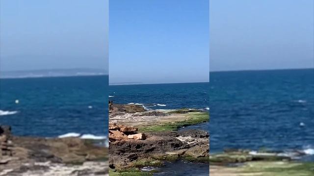 Бессмертник песчаный - шикарное растение для кожи и волос смотреть онлайн