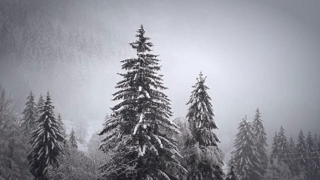 Музыка для сна/ Музыка покоя и умиротворения зимнего леса/ Глубокий и крепкий сон смотреть онлайн