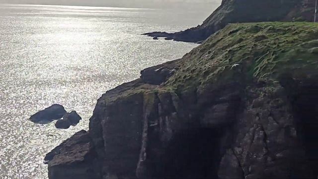 Egg Muffins Recipe / рецепт яичных маффинов.