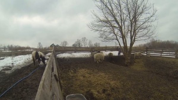 Нафига козе баян?