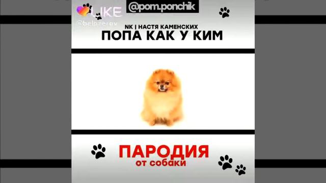 Попа как у По смотреть онлайн