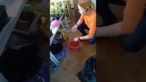 Правильное использование Амиачной селитры для подкормки растений.