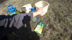 Обработка ЖЕЛЕЗНЫМ/МЕДНЫМ купоросом деревьев/винограда/кустарников/клубники, сада весной и осенью.