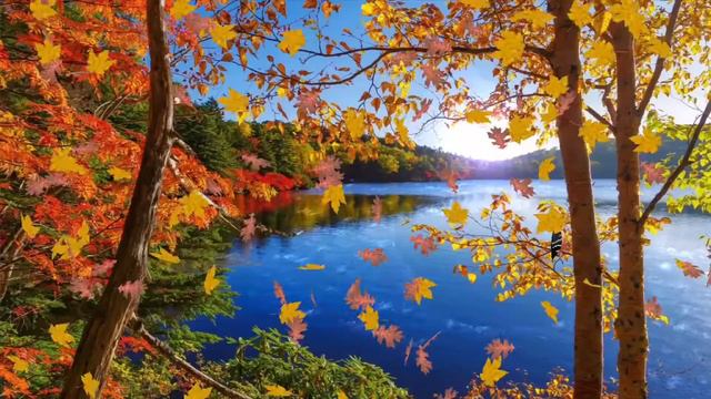 Relaxing Japanese Flute Music for Spa, Message, Sleep | Zen Music for Yoga and Meditation Music смотреть онлайн