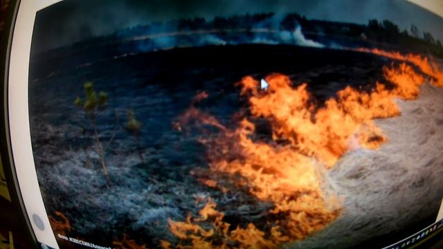 Дым отечества: из-за пала травы в России горят дома смотреть онлайн