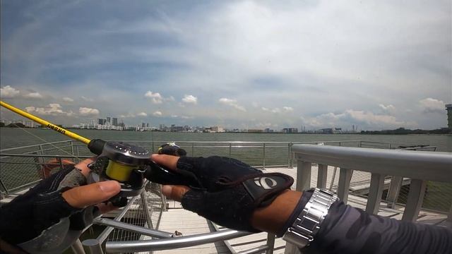 Feed Lures Rod Baitcast Urban UB-55UL 6 lb 8g! Pandan Reservoir LEGAL fishing grounds Singapore! смотреть онлайн