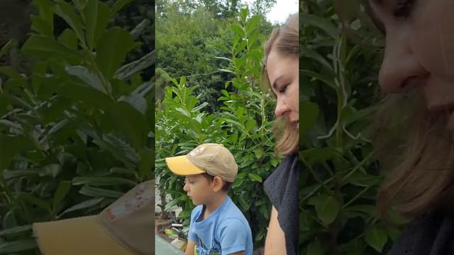 Дело было вечером..Шашлыки..купаты..костер 😘🍽 смотреть онлайн