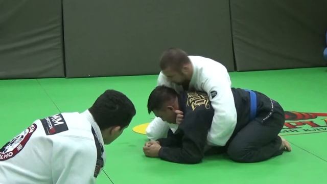 Аттестация | Бразильское джиу-джитсу в 