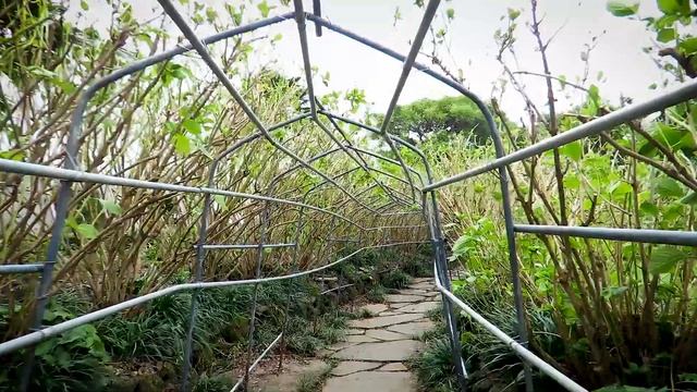 제주도여행 똥망하기 전에 미리알고 가자 ! [카멜리아힐} 미리보기 Camellia Hill смотреть онлайн