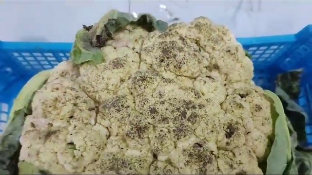 «Отдайте свиньям на подстилку »,- волжанка возмущена товаром в магазине социальных цен смотреть онлайн