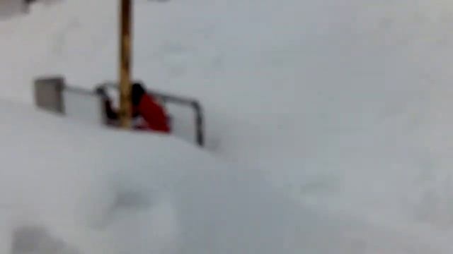 Мы с Саней на лыжах смотреть онлайн