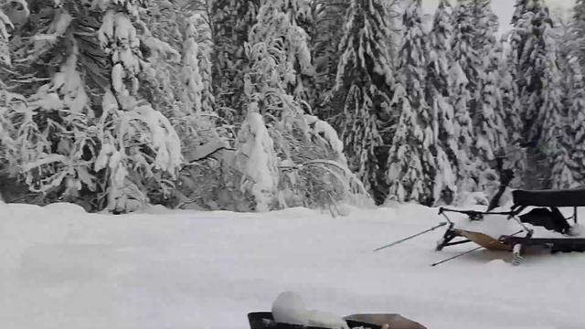 Татьянин день. смотреть онлайн