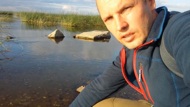 Как определить чистоту воды? Финский залив. Мёртвые малюски - экологическая катастрофа?