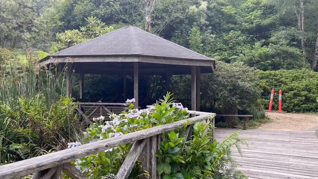 Relaxing Garden Tour I Dandenong Ranges Botanic Garden | Places to visit in Victoria I Australia смотреть онлайн