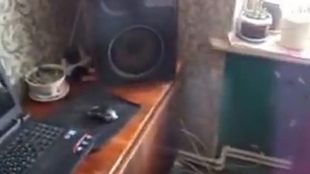 Моя , акустическая , система 1 часть 5 видео . смотреть онлайн