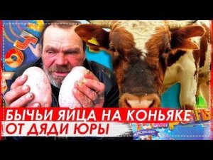 Трэш Выпуск / Бычьи Яйца в Коньяке