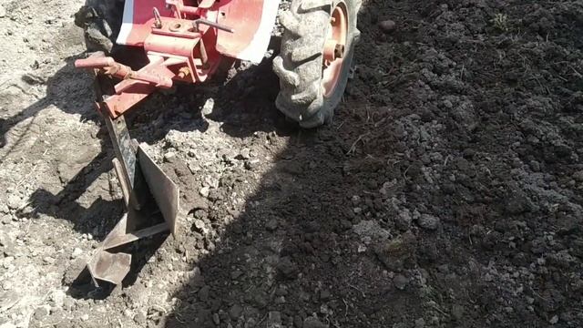 Как сажать картошку мотоблоком. смотреть онлайн
