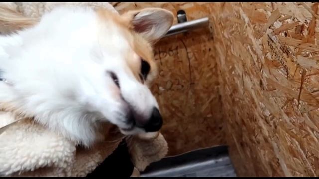 ПРОДА ИЗ ВИДОСА ДЕКСТЕРА ПРО ТО ЧТО ИХ ВЫГОняют их квартиры смотреть онлайн