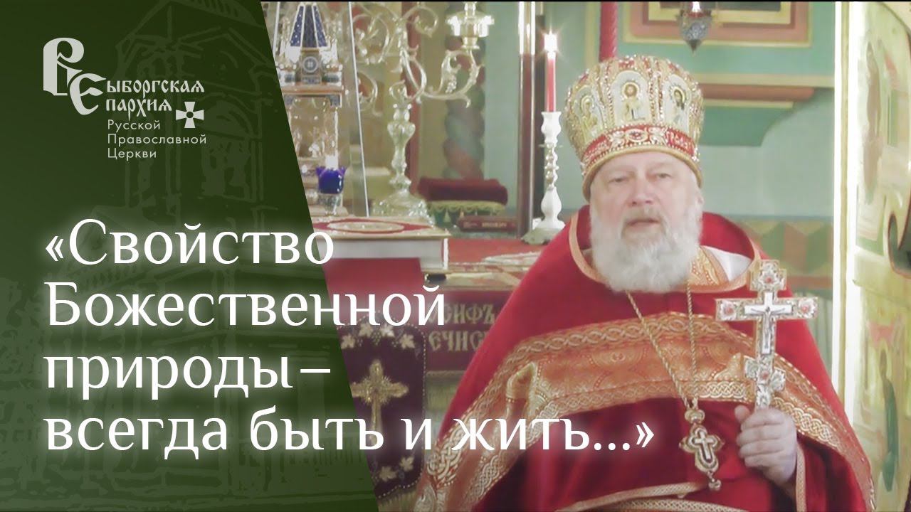 Проповедь протоиерея Игоря Аксёнова в неделю апостола Фомы смотреть онлайн