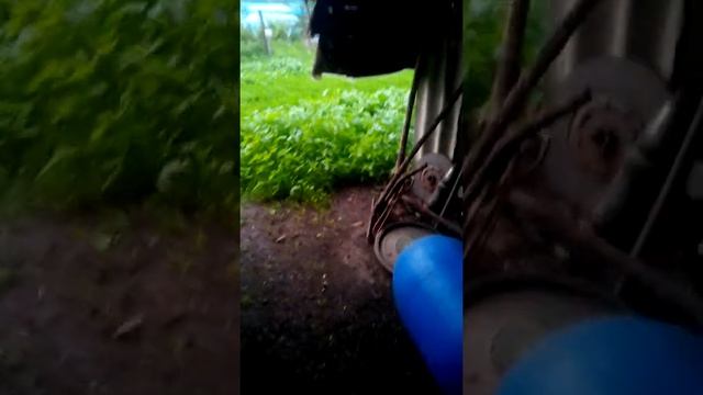 хочу суп с луком